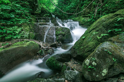 Close-up of waterfall in forest