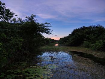 Scenic view of lake against sky