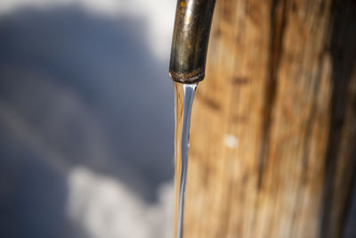 Close-up of water drop on wood