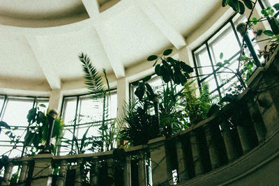 Low angle view of greenhouse