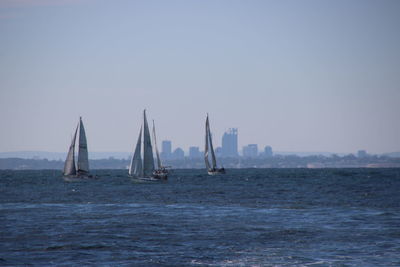 Sailboats sailing in sea against clear sky