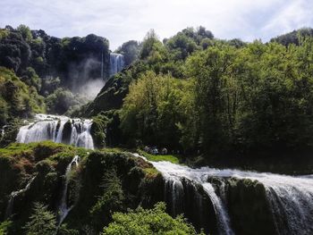 Scenic view of waterfall in forest