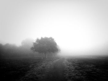 Scenic view of landscape in foggy weather