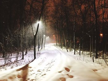 Snow covered trees against sky