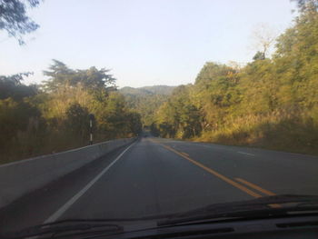 Road passing through forest