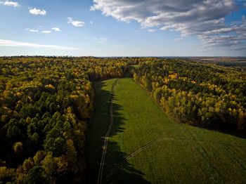 Scenic view of agricultural field against sky