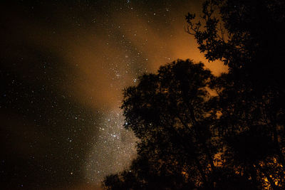 Low angle view of silhouette trees against sky at night