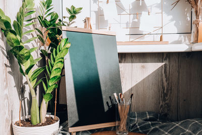 Potted plants on table against wall