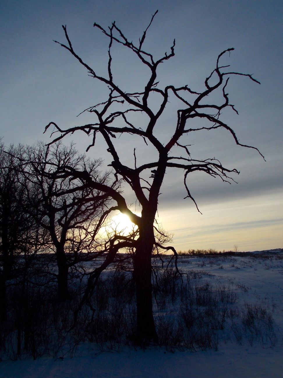 North Dakota