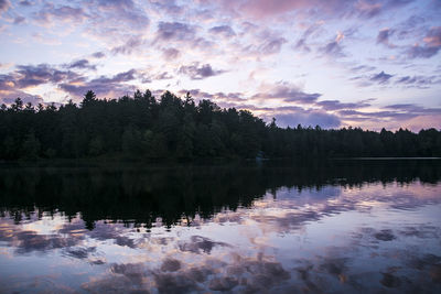 Reflection of trees in calm lake