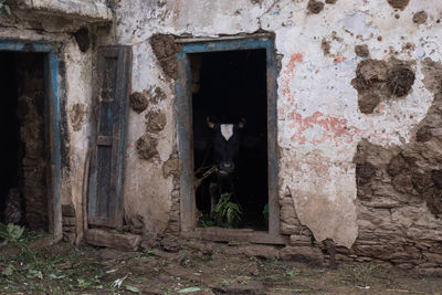 Old abandoned building