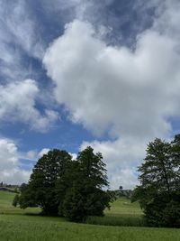 Trees on field against sky