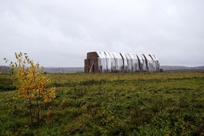 Scenic view of farm against sky