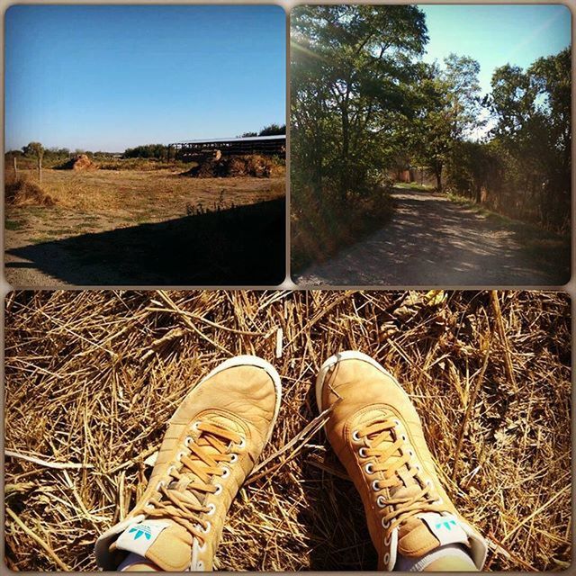 low section, person, shoe, personal perspective, transfer print, field, human foot, footwear, auto post production filter, blue, part of, grass, clear sky, sky, day, sunlight, outdoors