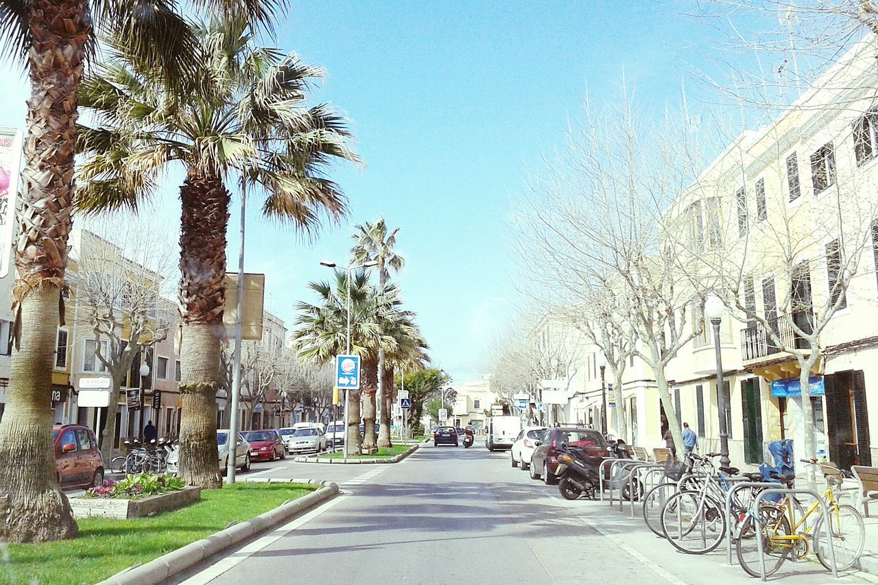 building exterior, architecture, built structure, the way forward, transportation, street, tree, car, clear sky, city, road, land vehicle, diminishing perspective, mode of transport, treelined, residential building, blue, vanishing point, sunlight, residential structure