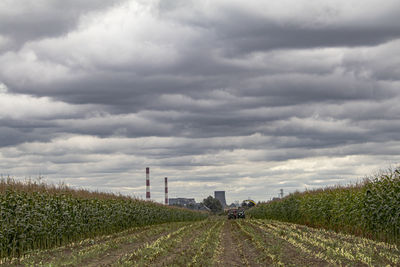 Scenic view of field against sky