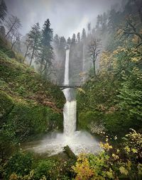 View of waterfall in forest