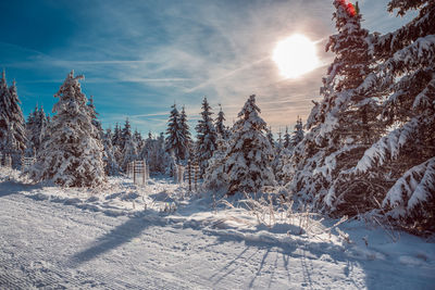 Snow covered land and trees against sky during winter