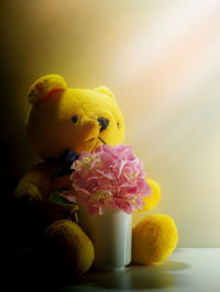 Close-up of a parrot