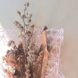 Close-up of potted plant against wall