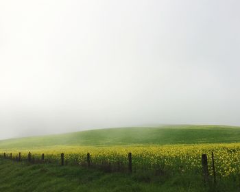 Scenic view of rural landscape