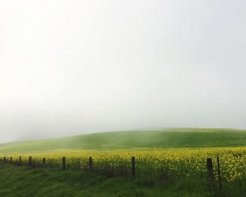 Scenic view of rural landscape