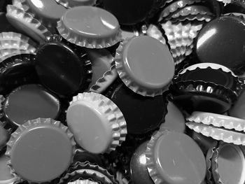 High angle view of shells