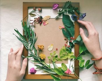 Cropped hand of woman holding picture frame with plants on table