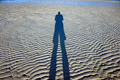 People on beach