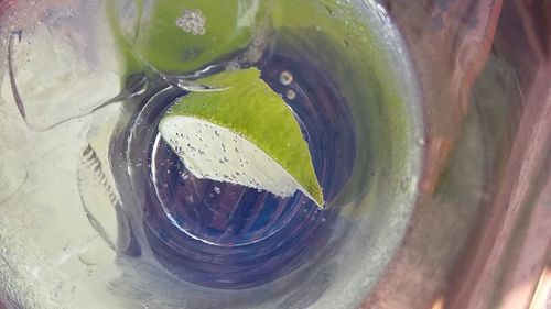 Close-up of leaves on table