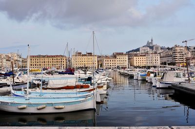 Sailboats moored at harbor against sky