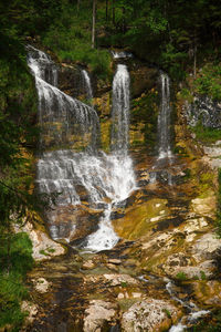 Scenic view of waterfall in forest