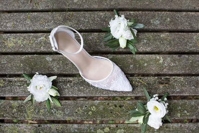 High angle view of white rose flower