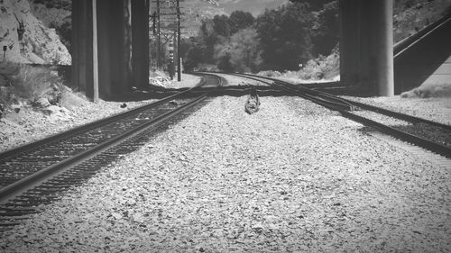 railroad track