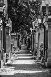 Footpath amidst trees and buildings in city