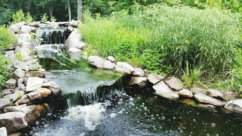 Stream flowing through rocks