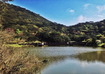 Scenic view of lake by trees against sky