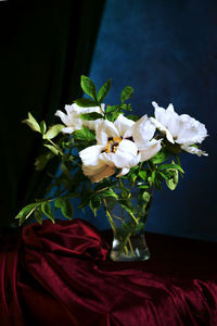 Close-up of white flowering plant in vase