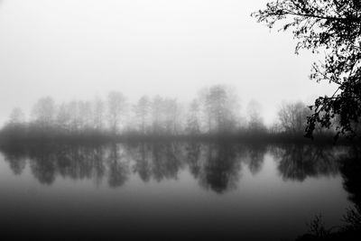 Reflection of trees in lake against sky