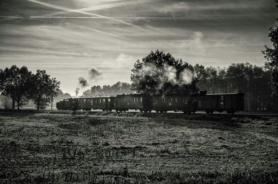 Trees on field against cloudy sky