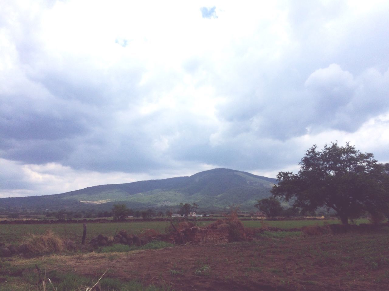 landscape, flora, holiday, sky, nature, no people, range