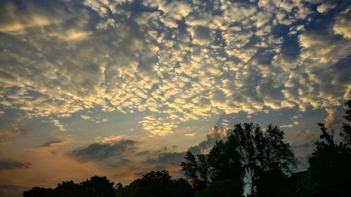 Low angle view of silhouette trees against sky during sunset