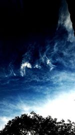 Low angle view of silhouette trees against sky at night