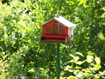 Metal bird house 