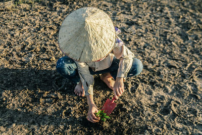 Rear view of man working on field