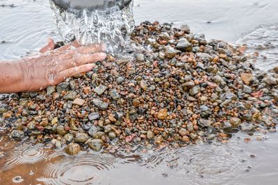 Cropped hands of man pouring water on pebbles