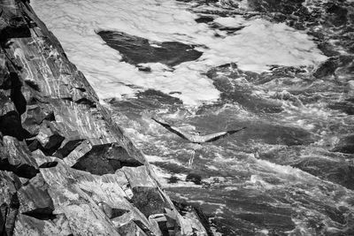 Low section of people on ground