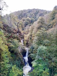 Scenic view of waterfall in forest