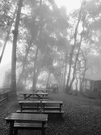 Empty bench in park