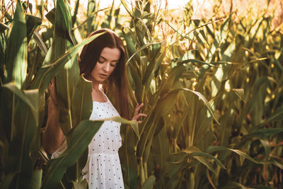 Young beautiful woman in white dress in corn field.